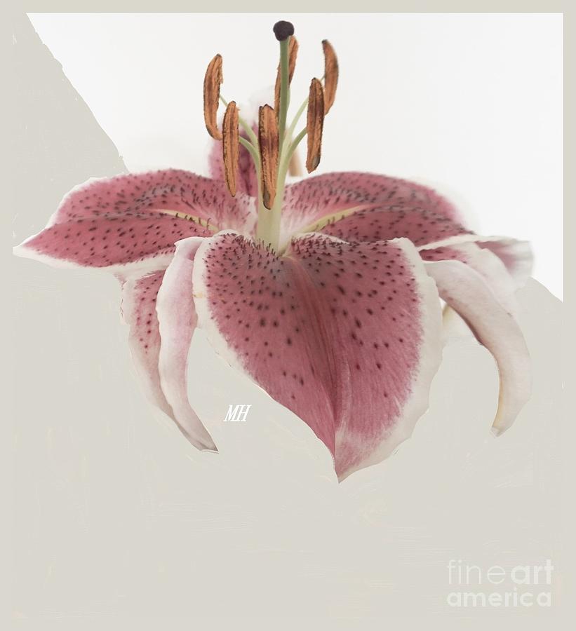 Decorative Lily Digital Art by Marsha Heiken