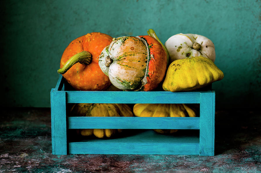 Decorative Pumpkins In A Blue Box Photograph by Gorobina