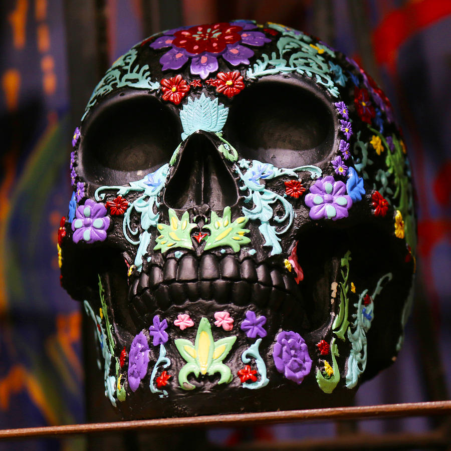 Decorative Skull Photograph by Art Block Collections