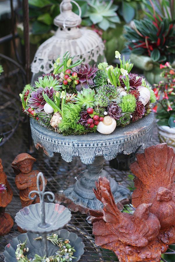 Decorative Wreath Of Succulents With Sempervivums On Metal Stand Behind Rust Bird Figurines Photograph by Alexandra Panella