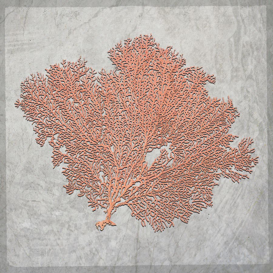 Coral Mixed Media - Decortive Sea Leaf 3 by Lightboxjournal