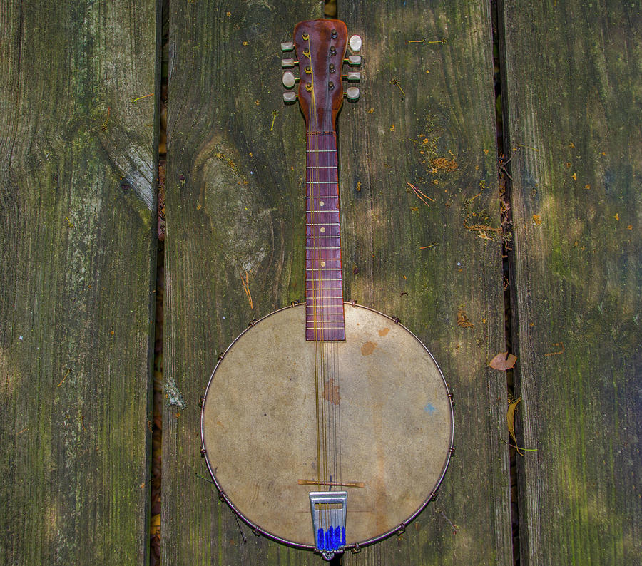 Deep American Soul - Banjo Mandolin Photograph by Bill Cannon