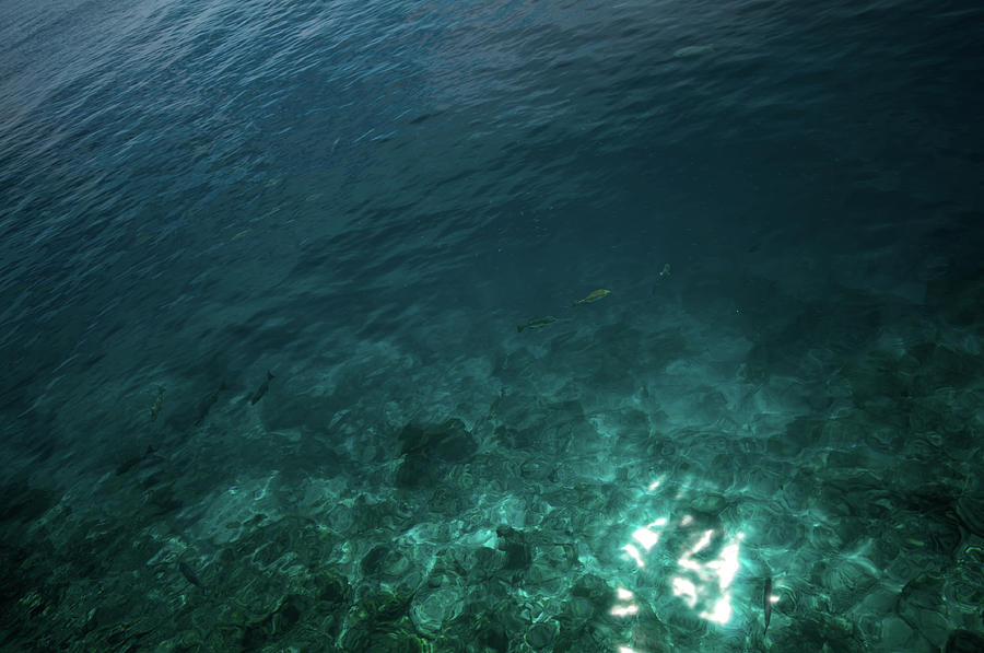 Deep Blue Ocean Photograph by Jenny Rainbow
