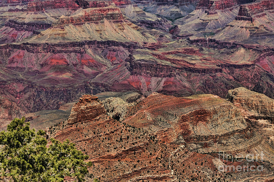 Deep Color Grand Canyon National Park  Photograph by Chuck Kuhn