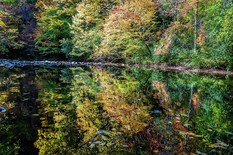 Deep Creek Autumn Reflections by Gary Bond Deep Creek Autumn Reflections by Gary Bond