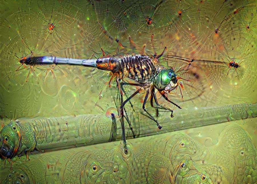 Abstract Digital Art - Deep Dream Dragonfly by John Bates Abstract Digital Art - Deep Dream Dragonfly by John Bates