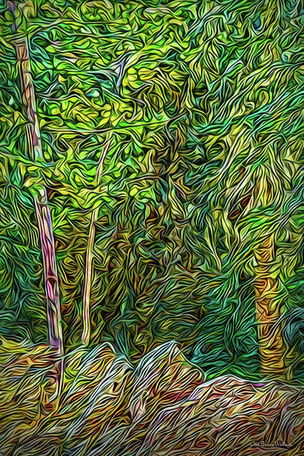 Deep Forest Portal Digital Art by Joel Bruce Wallach