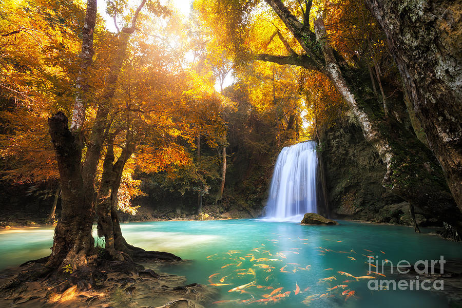 Koi Photograph - Deep Forest Waterfall In Kanchanaburi by Patrick Foto Koi Photograph - Deep Forest Waterfall In Kanchanaburi by Patrick Foto