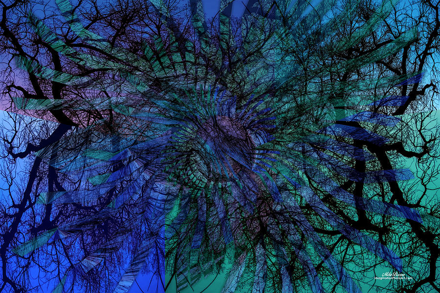 Deep In The Forest by Mike Braun Deep In The Forest by Mike Braun