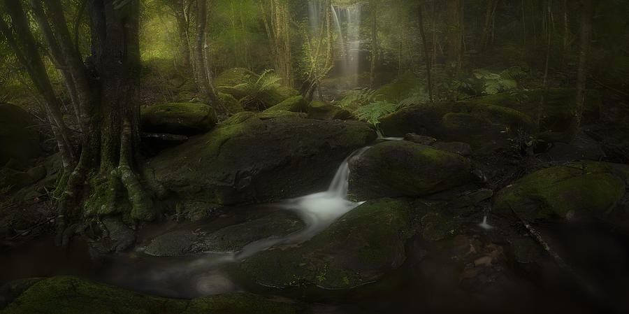 Waterfall Photograph - Deep In The Forest by Yan Zhang