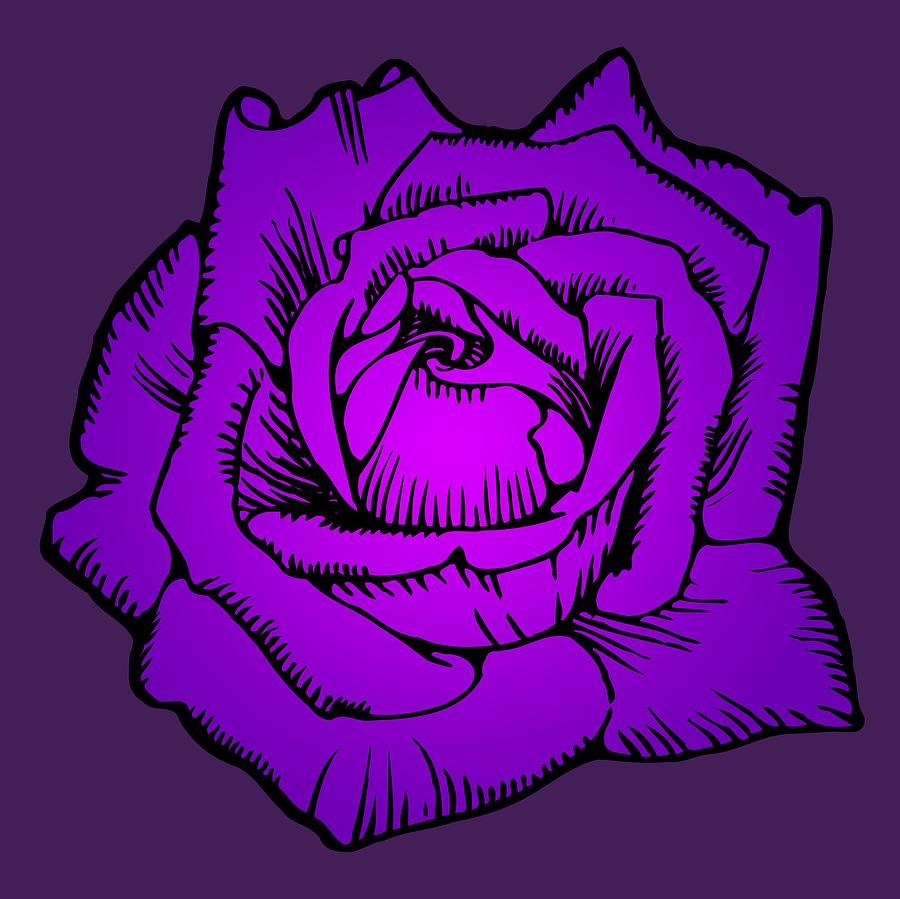Deep Purple Rose, Extra Large, Super-Smooth, Super-Sharp 7200px Drawing by Kathy Anselmo