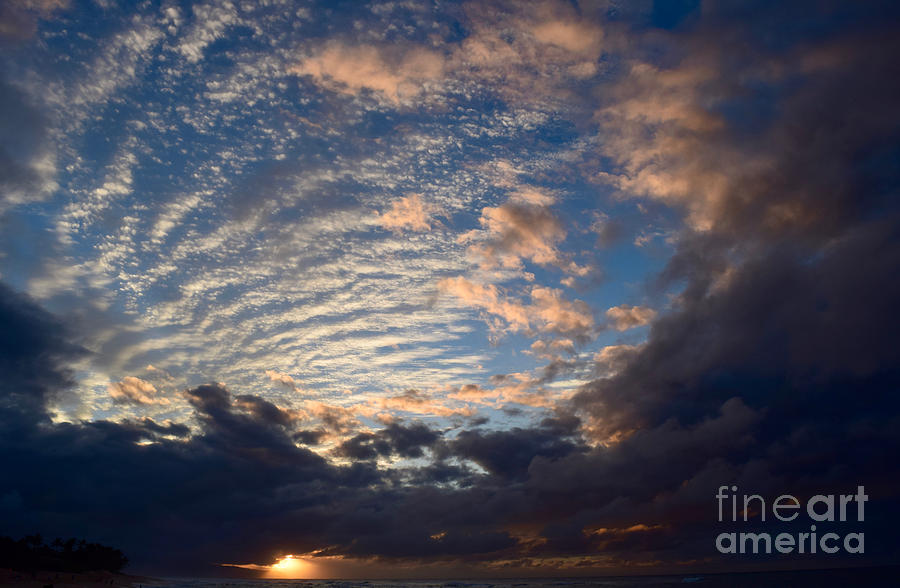 Deep Purple Sky Sunset Beach Hawaii Photograph by Debra Banks