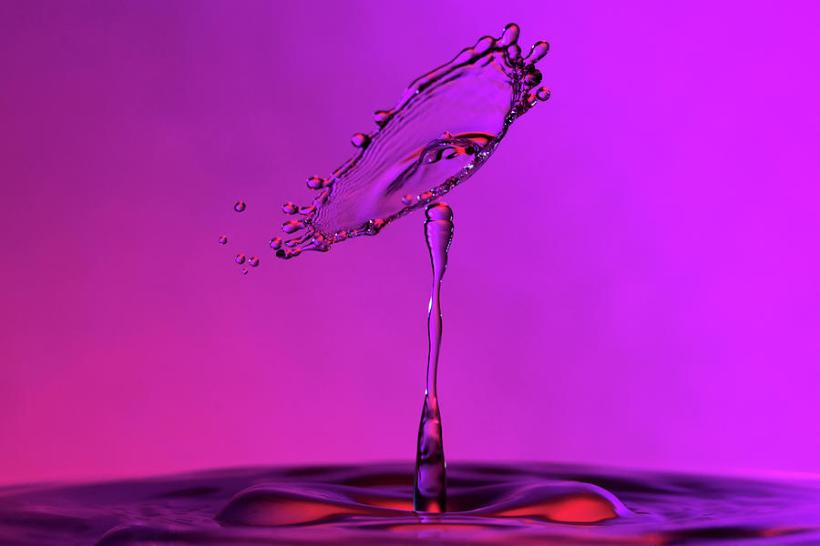 Deep Purple Water Drop Collision Photograph by SR Green
