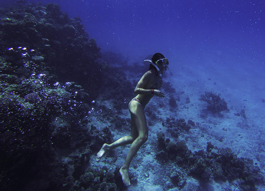 Underwater Photograph - Deep Sea Coral Dive by Katia Moon