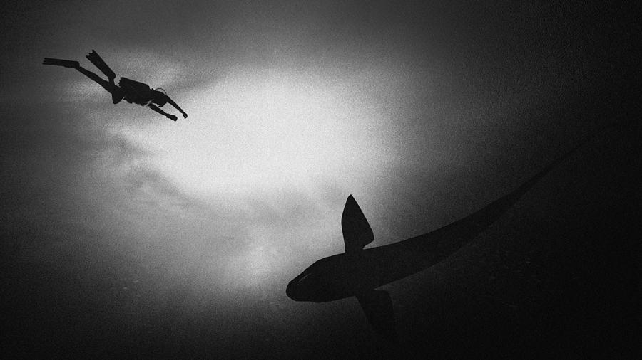Deep Underwater Photograph by Antonyus Bunjamin (abe)