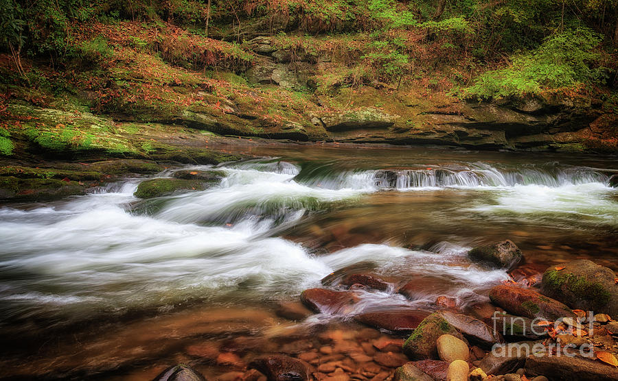 Deep Water Creek Photograph by Bill Frische