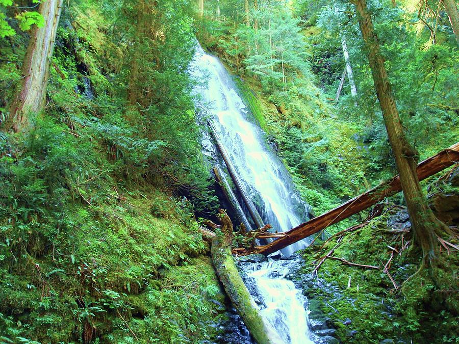 Murhut falls Olympic national forest Photograph by Tom W Bell - Pixels