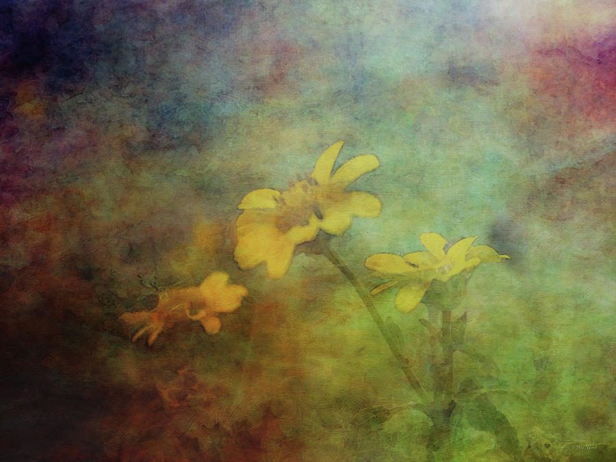 Deep Yellow Wildflowers 5677 IDP_2 Photograph by Steven Ward