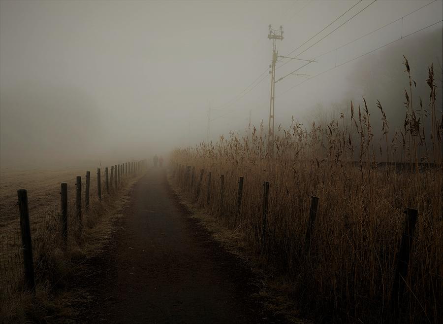 Fall Photograph - Deeply Into The Fog by Kremena Nikolaeva