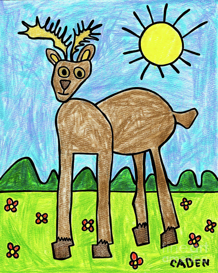 Cadens Deer Drawing by Amy E Fraser