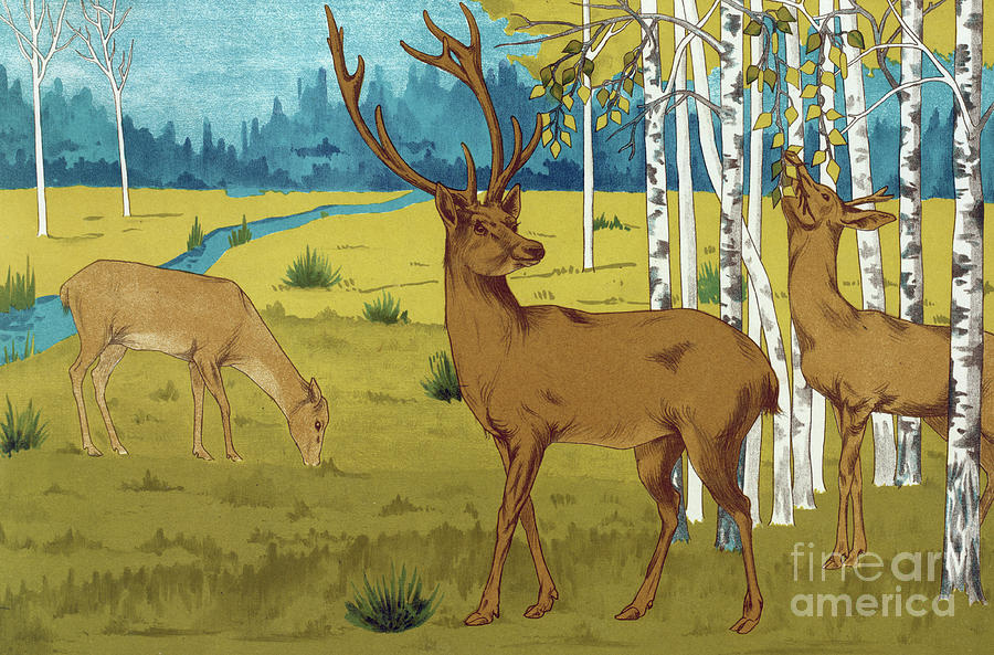 Deer by Maurice Pillard Verneuil Painting by Maurice Pillard Verneuil