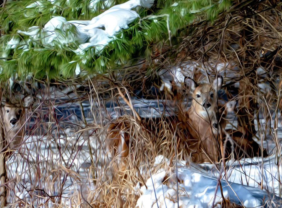 Deer Camouflage  Digital Art by Sandra Js