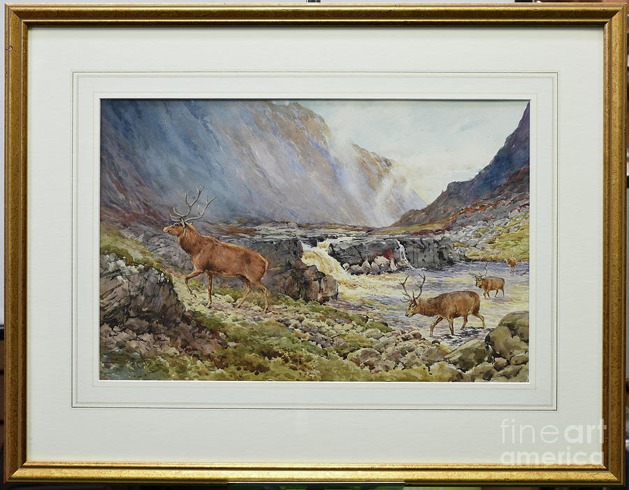 Deer Crossing The River Coe Painting by Andrew Scott Rankin - Fine Art ...