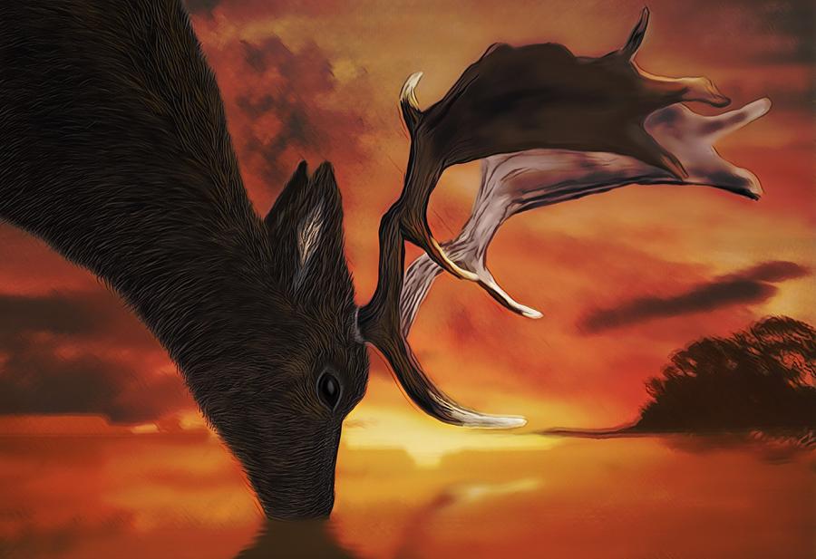 Deer Digital Art - Deer Drinking At Sunset by Chris Hall Deer Digital Art - Deer Drinking At Sunset by Chris Hall