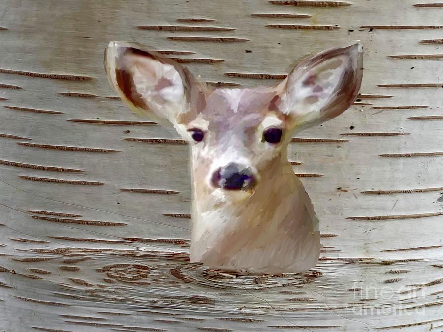 Deer Image Mixed Media