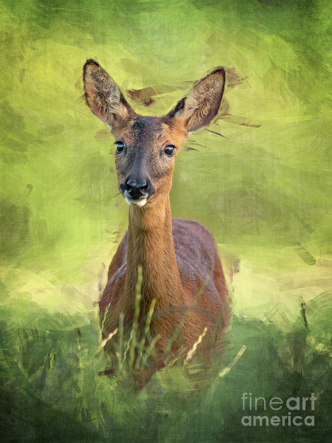 Deer In Green Field Digital Art by Phil Perkins
