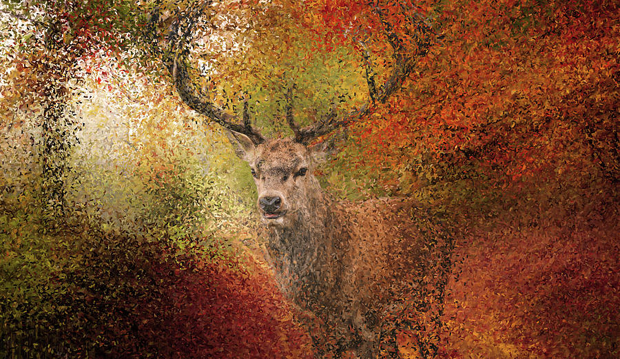 Deer in the autumn forest by Alex Mir Deer in the autumn forest by Alex Mir