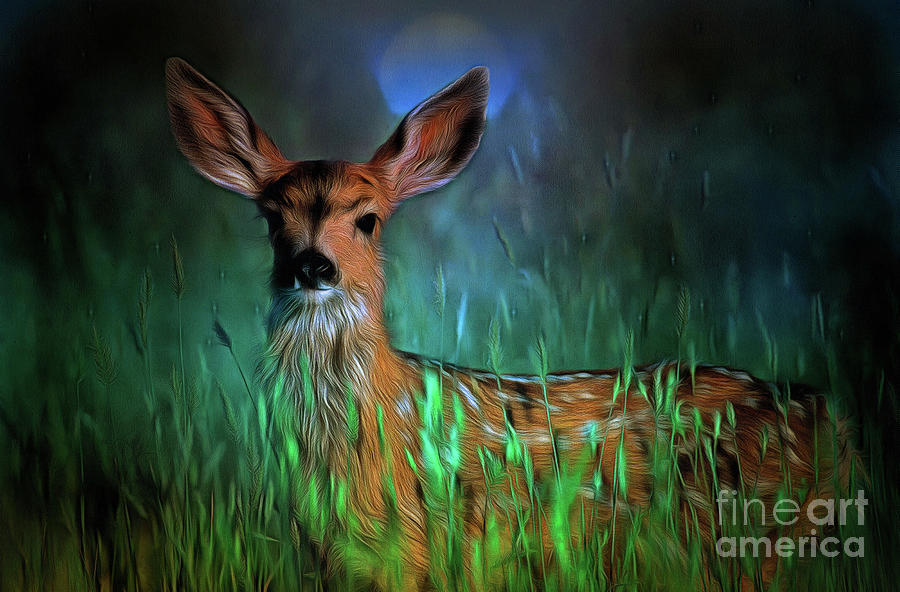Deer in the Moonlight Painting by Elaine Manley