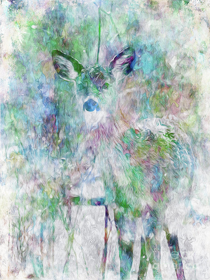 Deer In Winter Digital Art by Phil Perkins