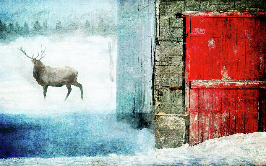 Deer in Winter Digital Art by Terry Davis