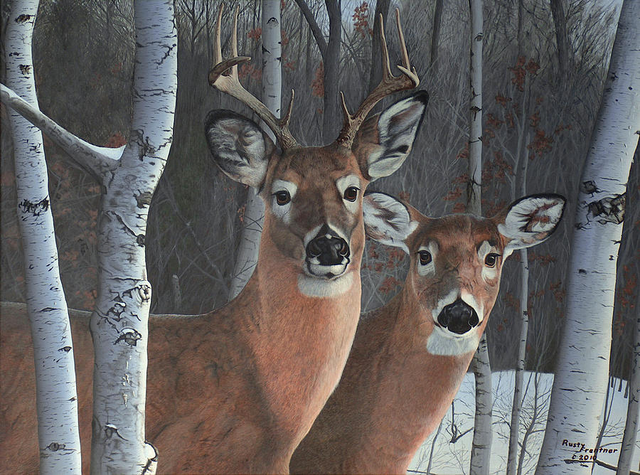 Deer Painting - Deer Magic by Rusty Frentner