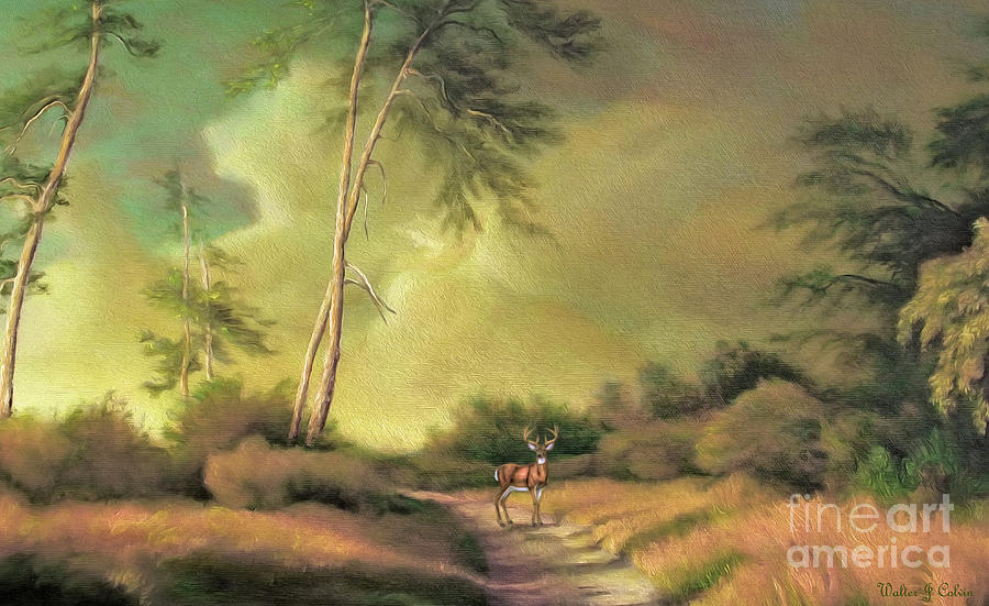 Deer On The Road Digital Art by Walter Colvin