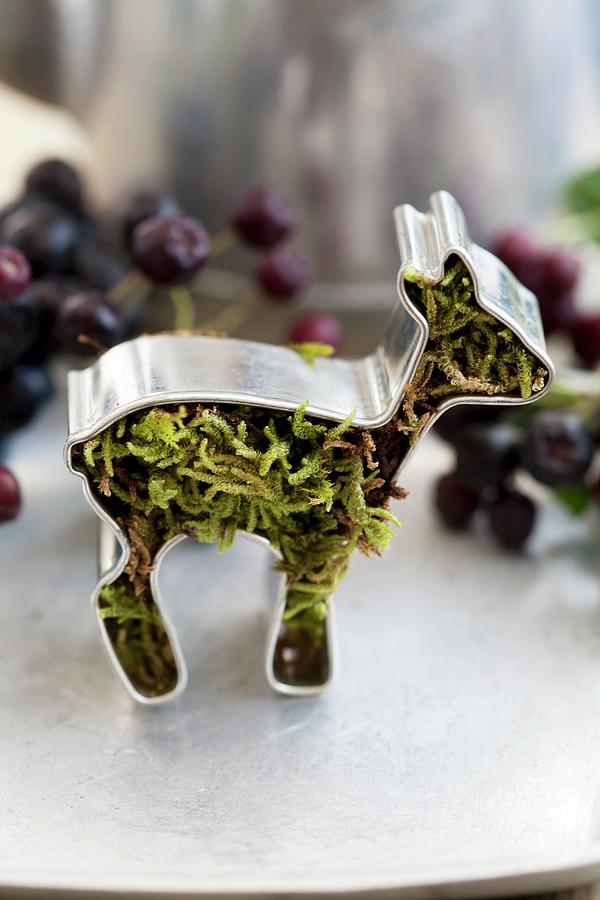 Deer-shaped Cookie Cutter Filled With Moss And Aronia Berries Photograph by Martina Schindler