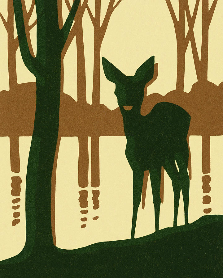 Deer Drawing - Deer Standing By a Lake by CSA Images
