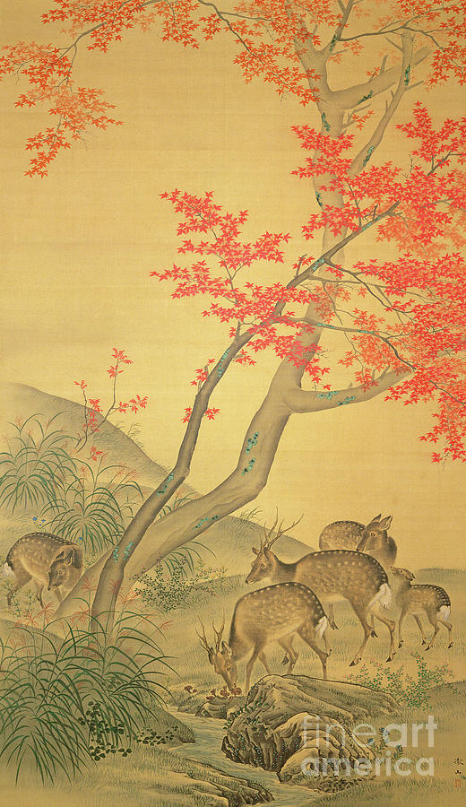 Deer under a maple tree Painting by Mori Tetsuzan