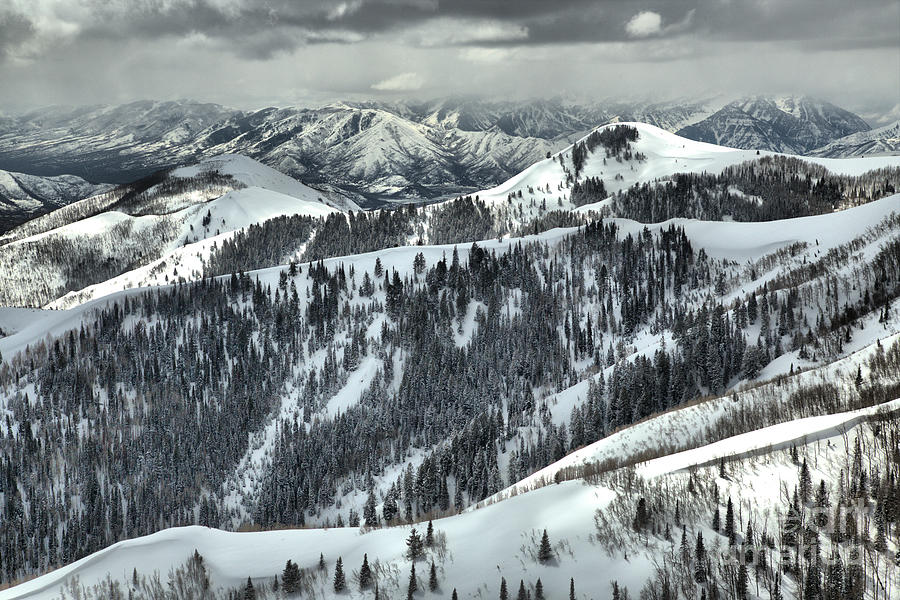Deer Valley Bald Mountain Snowy Views Photograph by Adam Jewell