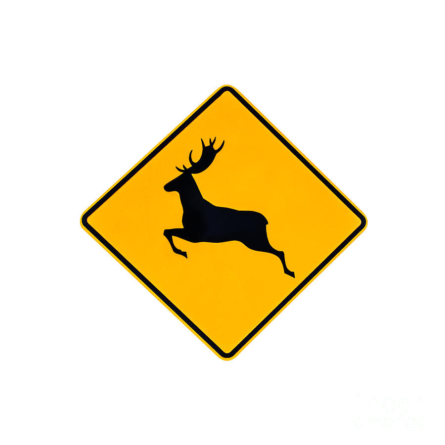 Deer Warning Sign Photograph by Benny Marty