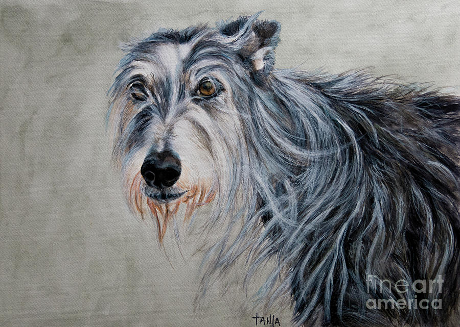 Deerhound Painting by Tanja Kooymans