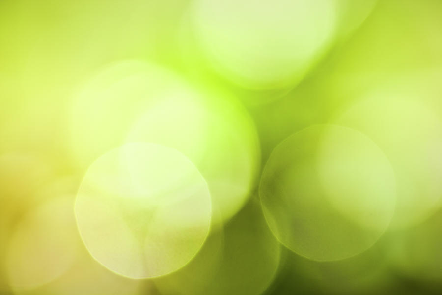 Defocused Spring Lights Photograph by Pawel.gaul Defocused Spring Lights Photograph by Pawel.gaul