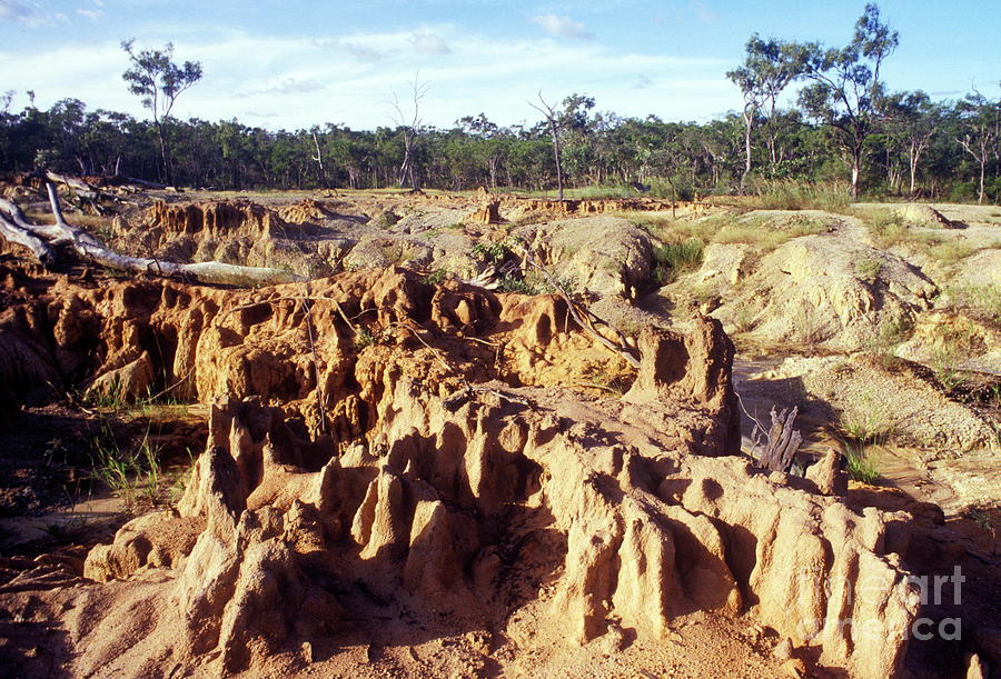 Deforestation Photograph by Chris Sattlberger/science Photo Library ...