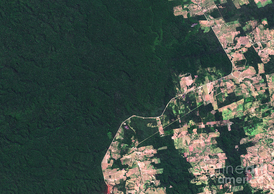 Deforestation In Para Photograph by Planetobserver/science Photo Library