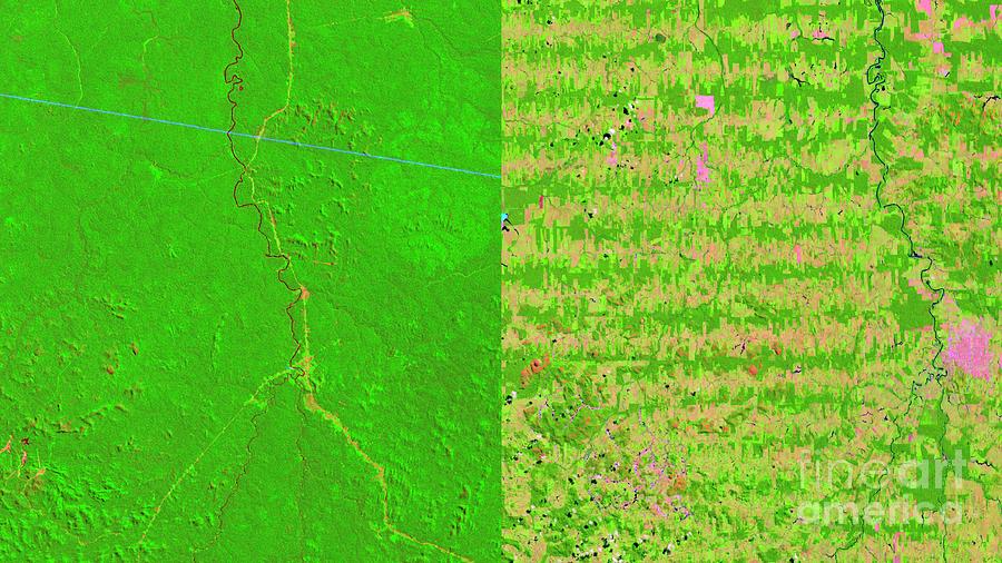 Deforestation In The Amazon 1975 To 2012 Photograph by Nasas Goddard Space Flight Center/usgs/science Photo Library