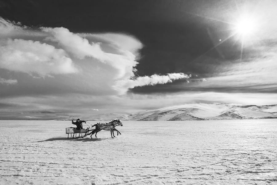 Horse Photograph - Deh... by Fatih Balkan