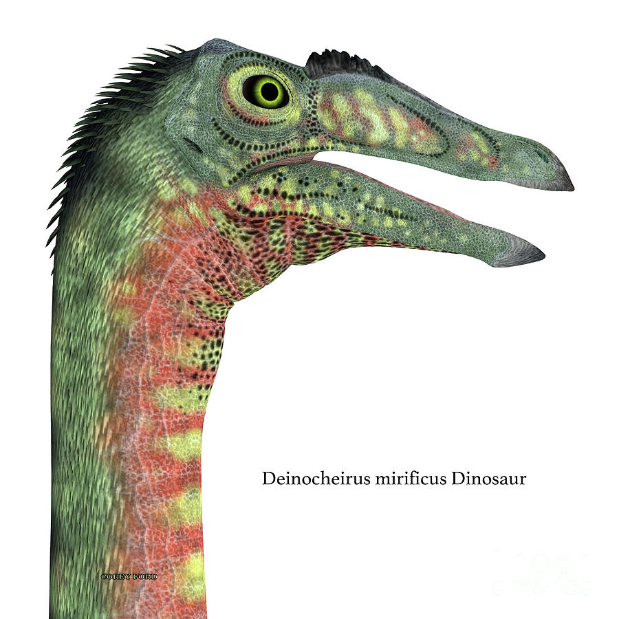 Deinocheirus Dinosaur Head with Font Digital Art by Corey Ford