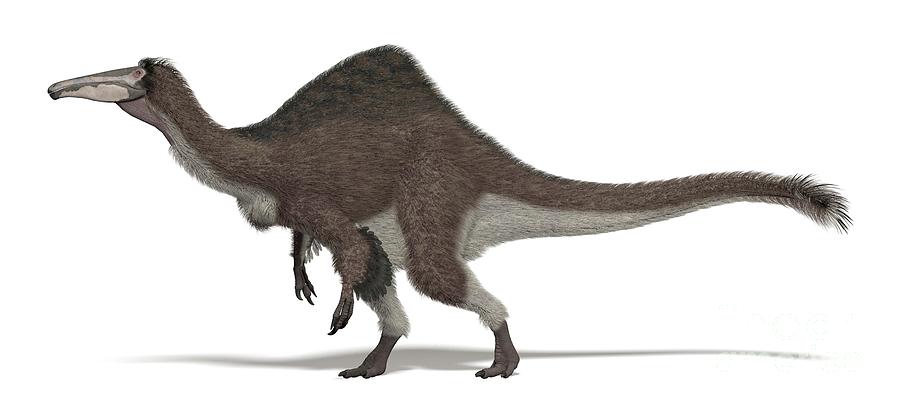 Deinocheirus mirificus, a prehistoric era dinosaur from