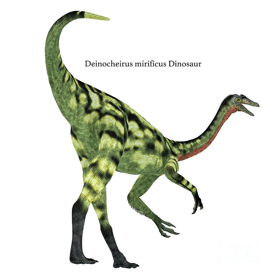 Deinocheirus Dinosaur Tail with Font Digital Art by Corey Ford